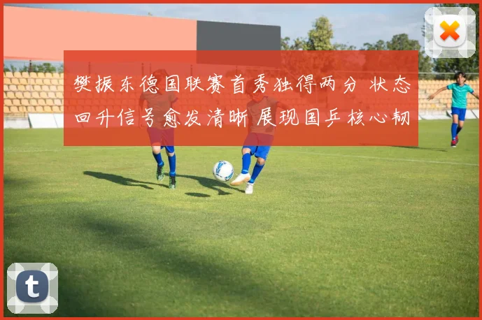 樊振东德国联赛首秀独得两分 状态回升信号愈发清晰 展现国乒核心韧性