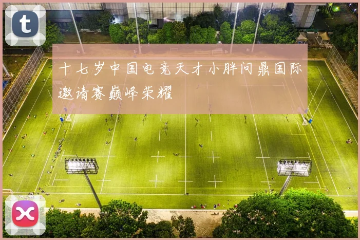 十七岁中国电竞天才小胖问鼎国际邀请赛巅峰荣耀