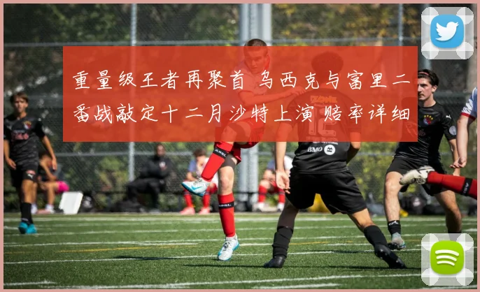 重量级王者再聚首 乌西克与富里二番战敲定十二月沙特上演 赔率详细分析