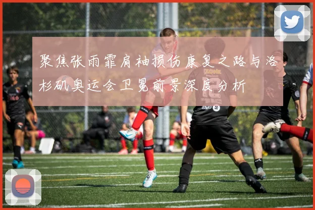聚焦张雨霏肩袖损伤康复之路与洛杉矶奥运会卫冕前景深度分析