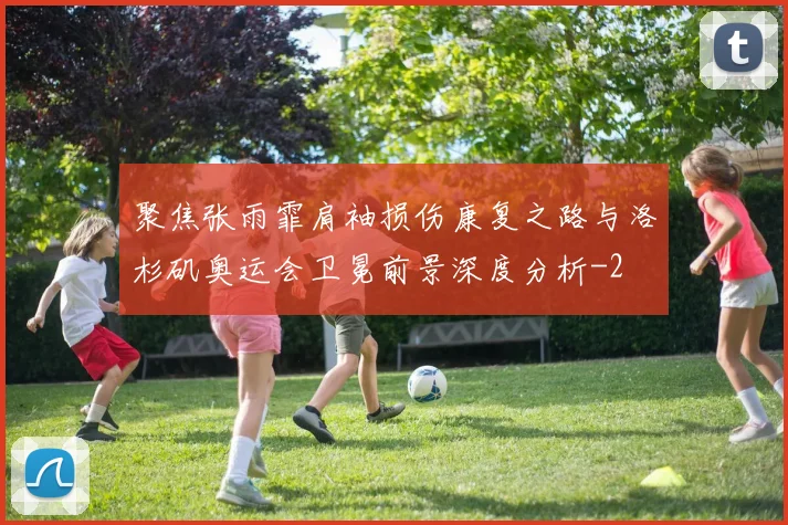 聚焦张雨霏肩袖损伤康复之路与洛杉矶奥运会卫冕前景深度分析