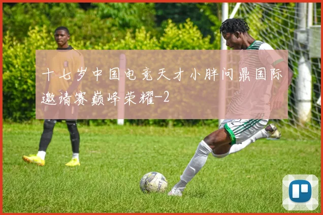 十七岁中国电竞天才小胖问鼎国际邀请赛巅峰荣耀